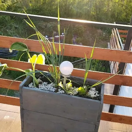 בית הארחה Sorkwity- - Stary Gielad סורקביטי