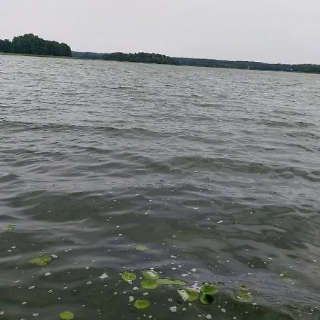 Sorkwity- - Stary Gieląd