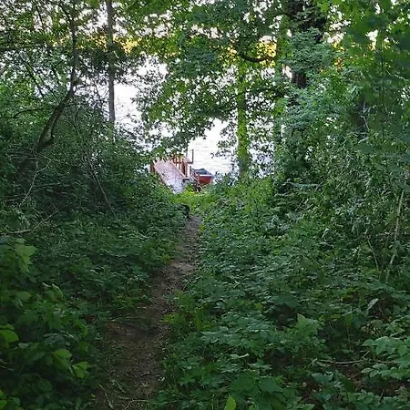 Sorkwity- - Stary Gielad