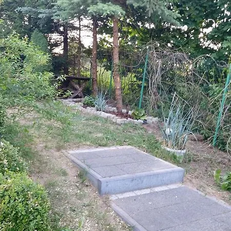 Guest house Sorkwity- - Stary Gielad