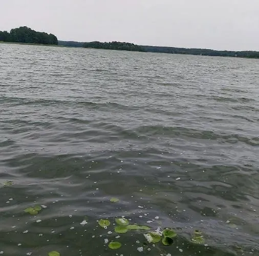 Sorkwity- - Stary Gielad