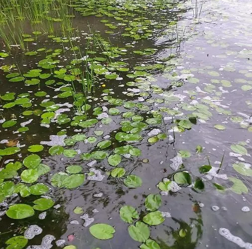 Sorkwity- - Stary Gielad Guest house